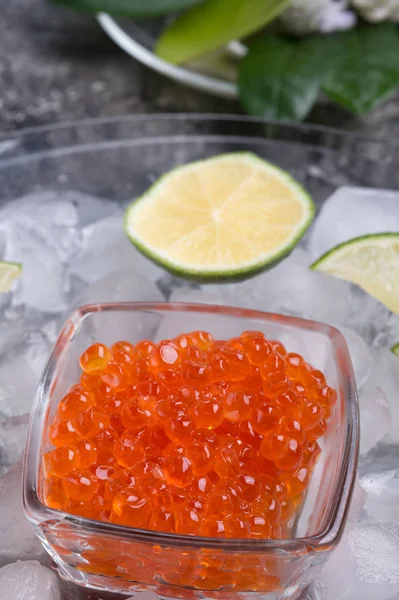 Caviar de salmão vermelho fresco com limão ao redor do gelo. macro shot. Pro — Fotografia de Stock