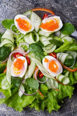 kırmızı somon havyar ve yumurta ve vege ile taze gurme salata