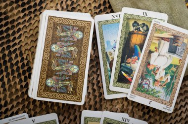 kehanet kartı Tarot kurdu. yakın kapatın. editoryal kullanım