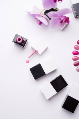 manikür için ayarlanmış jöle cilası şişeleri, renk paleti ve ork ile