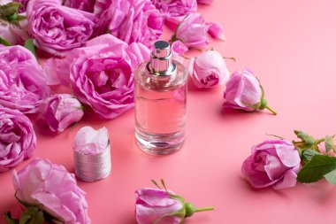  Gül, pembe arka planda parfüm şişesi etrafında. güzellik konsepti