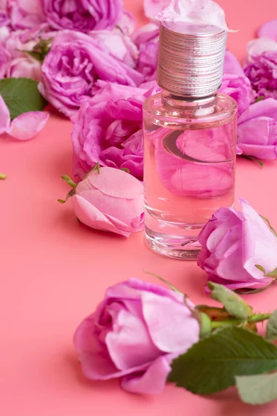 Lahvička Parfému Kolem Může Růže Růžovém Pozadí Koncepce Krásy — Stock fotografie