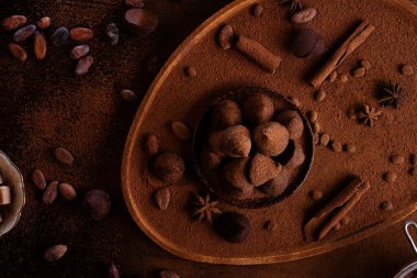 Doğal kakao çekirdeği, pudra, kakao yağı, kamış şekeri ile besleyici maddelerin etrafında sağlıklı, lezzetli çikolata trüf mantarları. Sağlıklı tatlı konsepti. düz yat
