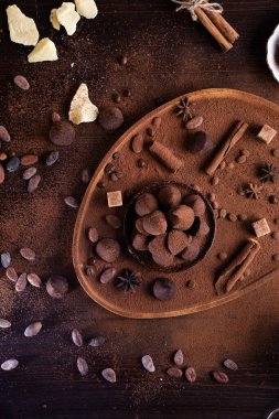 Doğal kakao çekirdeği, pudra, kakao yağı, kamış şekeri ile besleyici maddelerin etrafında sağlıklı, lezzetli çikolata trüf mantarları. Sağlıklı tatlı konsepti. düz yat