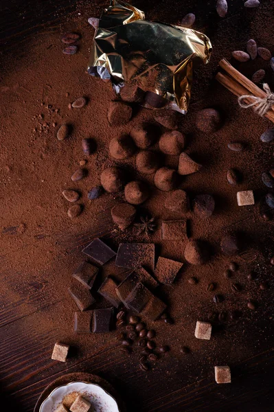 Gezonde Heerlijke Chocolade Truffels Rond Ingrediënten Met Natuurlijke Cacaobonen Poeder — Stockfoto