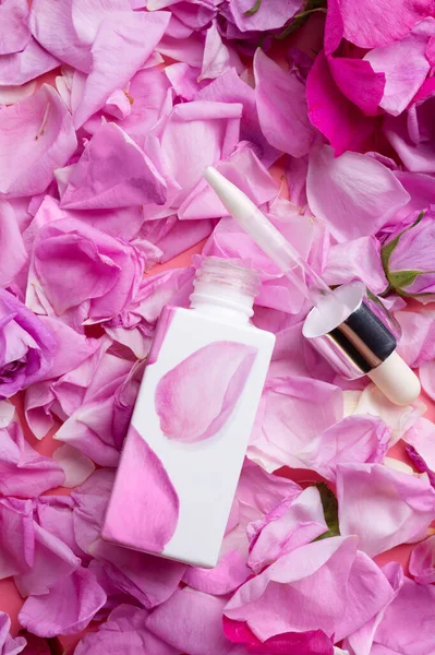 Pembe gül yapraklarının etrafındaki gül özü. güzellik konsepti