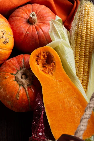 Different Species Pumkin Corn Harvest Healthy Life Concept — Stock Photo, Image