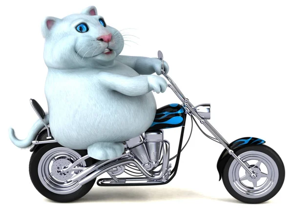 Gato Divertido Motocicleta Ilustración —  Fotos de Stock