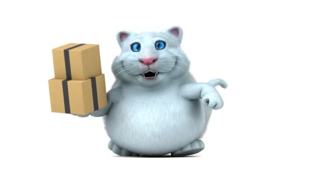 Spaß Katzenfigur Mit Boxen Animation — Stockvideo