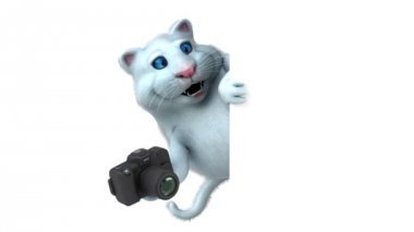 Eğlenceli çizgi film karakteri ile kamera - 3d animasyon 