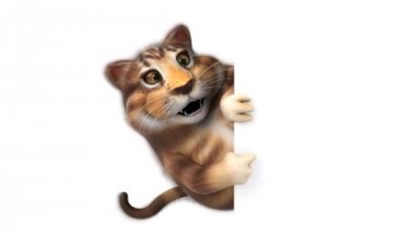 Eğlenceli çizgi film karakter kedi - 3d animasyon 
