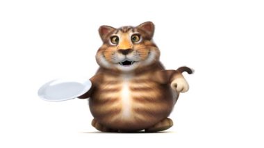 Eğlenceli kedi karakteri ile plaka - 3d animasyon 