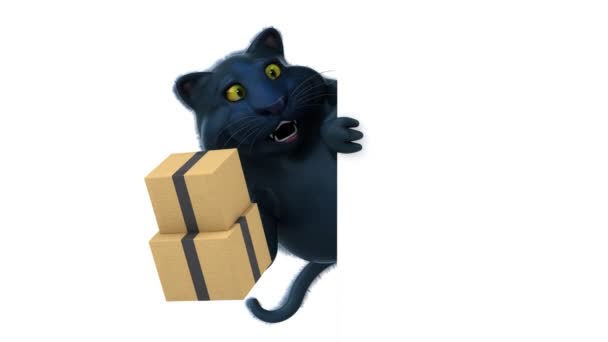 Spaß Katzenfigur Mit Boxen Animation — Stockvideo