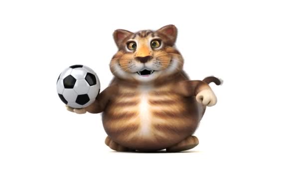 有趣的猫字符与球 — 图库视频影像
