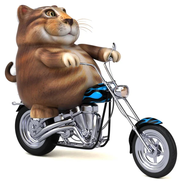Zábavná Kočka Motorce Ilustrace — Stock fotografie