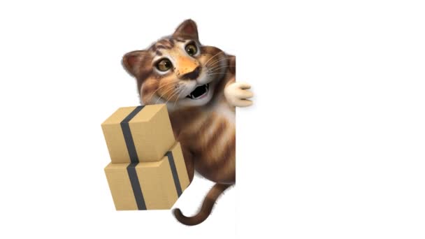 Spaß Katzenfigur Mit Boxen Animation — Stockvideo