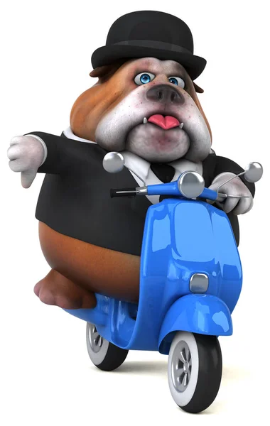 Bulldog Divertido Scooter Ilustración — Foto de Stock