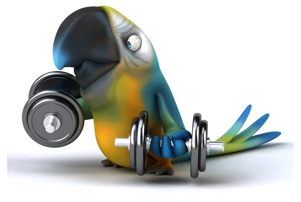 Fun Parrot Weights Illustration — Stock Photo, Image