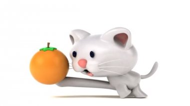 Turuncu - 3d animasyon ile eğlenceli kedi 