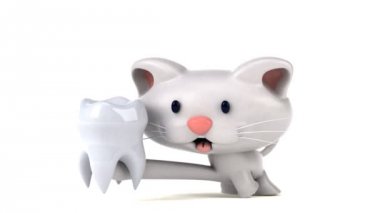 Dişi olan eğlenceli çizgi film karakteri - 3 boyutlu animasyon 