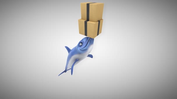 Golfinho Divertido Com Caixas Animação — Vídeo de Stock