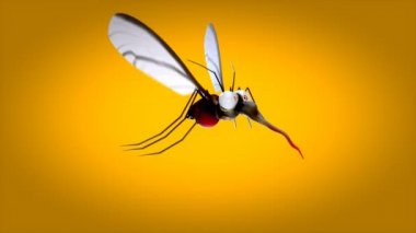 Eğlenceli sivrisinek karakter - animasyon 