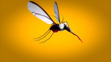 Eğlenceli sivrisinek karakter - animasyon 