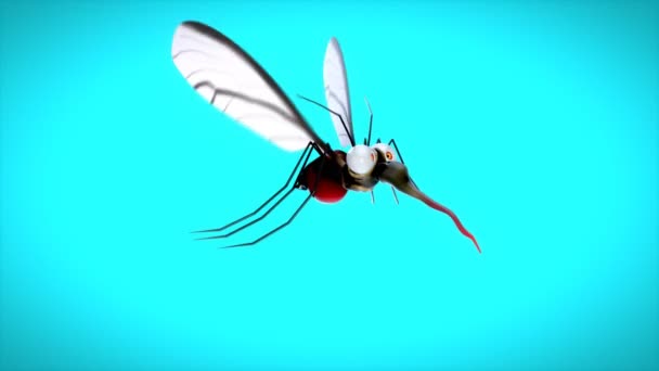 Personagem Mosquito Divertido Animação — Vídeo de Stock