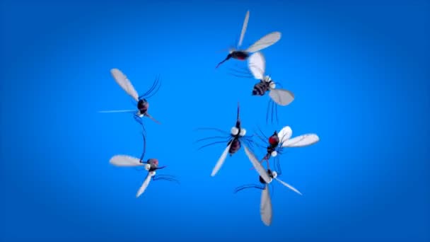 Fun Mosquito Characters Animation — Stock Video