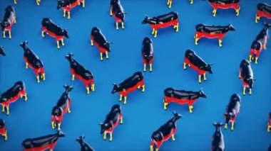 Mavi arkaplan üzerine inekler - 3d animasyon 
