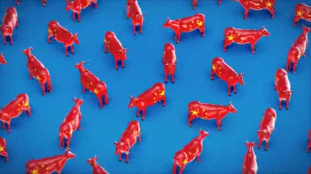 Chinese Cows Blue Background Concept Animation — Stock Video