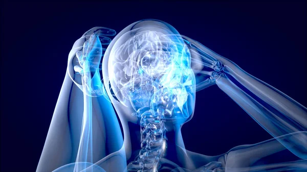 Människa Och Hjärna Xray Mänsklig Anatomi Illustration — Stockfoto