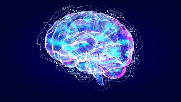 Рентген Мозга Анатомия Человека Иллюстрированные Нейроны — стоковое фото