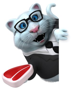 Etli eğlenceli kedi. 