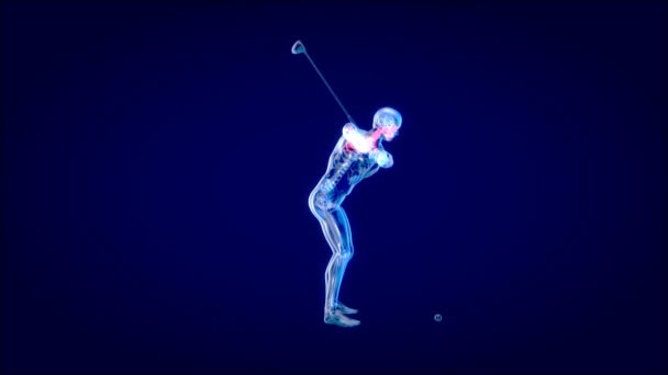 Man Golfen Anatomie Animatie — Stockvideo