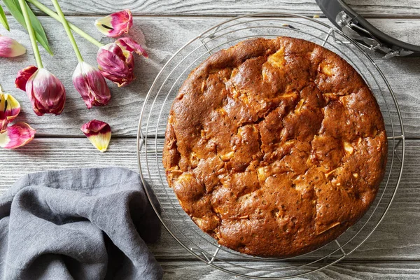 Proaspăt Coapte Delicioase Plăcintă Mere Mirositoare Charlotte Răcește Rețea Masă — Fotografie, imagine de stoc