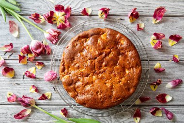 Fırından yeni çıkmış bir kafes ahşap bir masa üzerine elmalı turta charlotte soğuduktan lezzetli kokulu. Vegan elmalı turta yumurta, tereyağı, üstten görünüm, olmadan olmadan düz yatıyordu