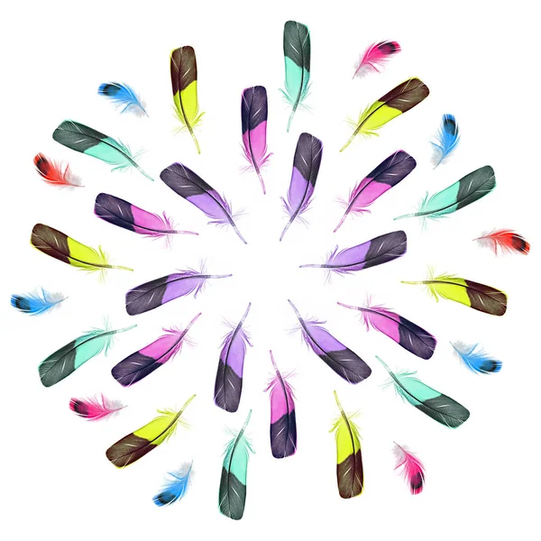 dairesel tüyleri renkli desen