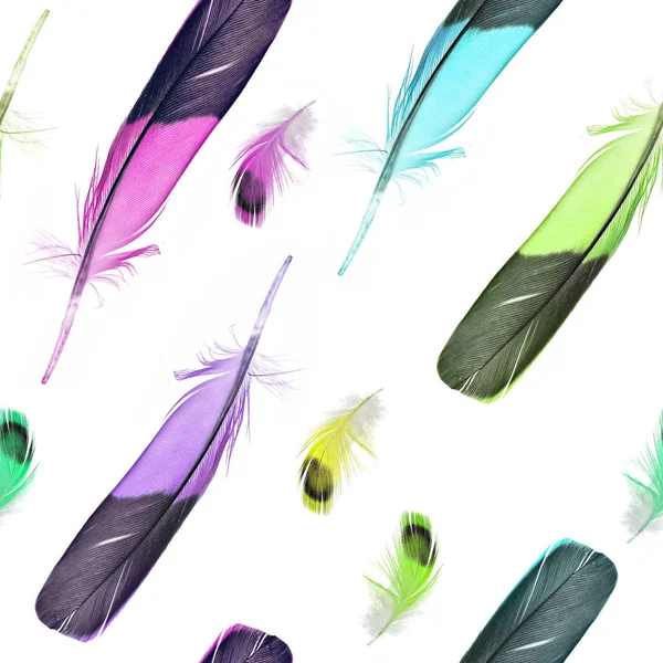 Colorful Feathers Seamless Background White — Stock Photo, Image