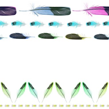 tüyler kabile kesintisiz yatay kenarlık