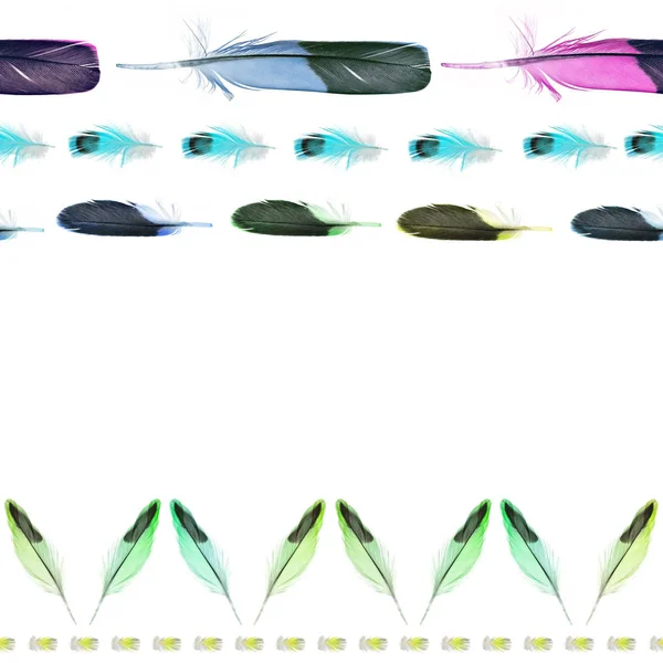 tüyler kabile kesintisiz yatay kenarlık