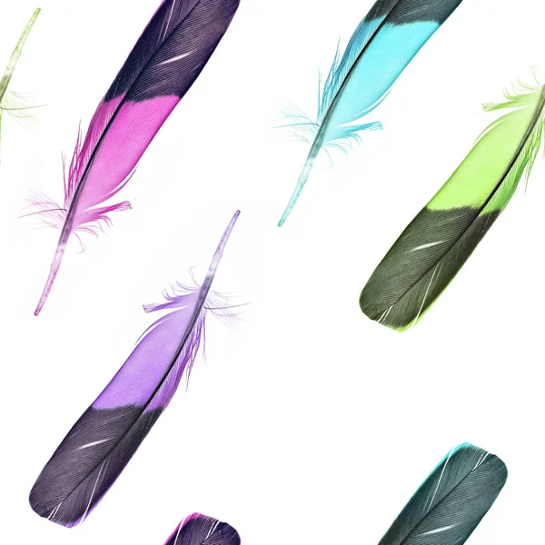 sorunsuz neon tüyler arka plan