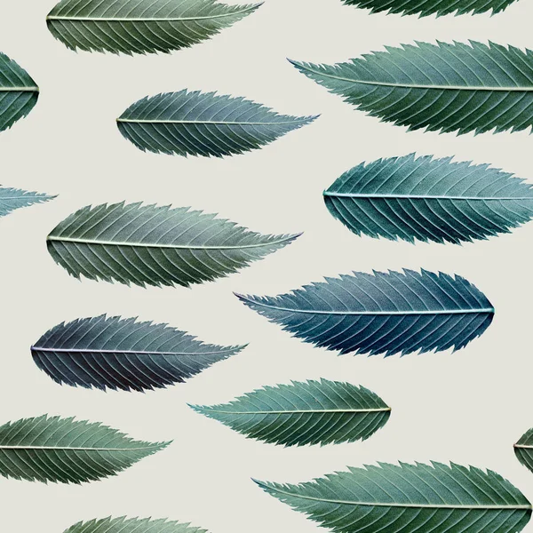 yaprakları fotoğraf sorunsuz doku