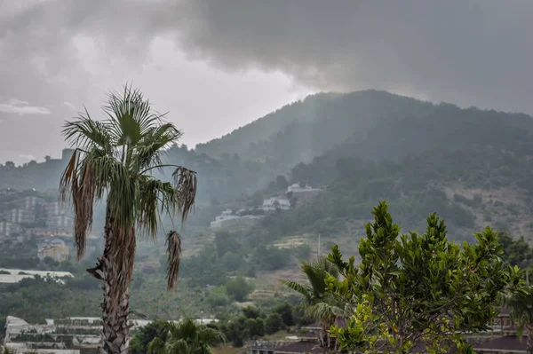Tropik bölgelerde ki kasırga. Kötü hava durumu