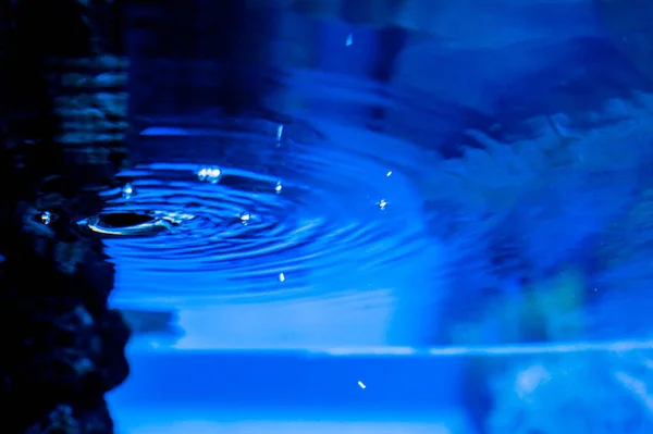 su üzerinde sualtı boş arka plan daireler