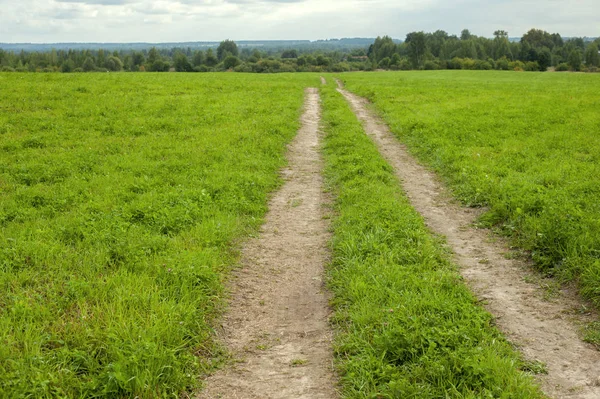 alan yol, parça, yaz yeşil manzara açık arka plan