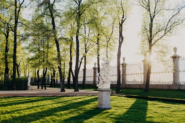 Photo One Oldest Park Saint Petersburg Summer Park Its Monuments — Stock Photo, Image