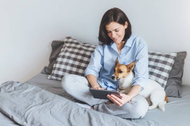Aile içi rahat atmosfer. Güzel kadın modeli pyjmas giyer, ile onun favori evde beslenen hayvan yatak örtüsü yatak odasında oturur, tablet bilgisayar üzerinden saçak ile mesajları, ücretsiz internet bağlantısı sahiptir