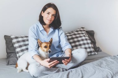 Esmer arıyorum çok iyi kadın pijama kullanır modern elektronik aracı'nda yatak yatak, oturur ona jack ile russell terrier köpek, sakin iç atmosferi sahiptir, güzel hafta sonları vardır
