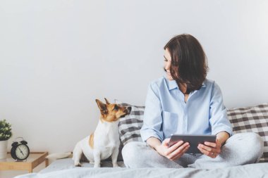Güzel esmer Erkek pijama yatak onunla yatakta oturur, jack russell terrier köpek, tablet bilgisayar tutar, sabah hafta sonu sahiptir, online video izliyor, evde beslenen hayvan ile iyi ilişkileri vardır